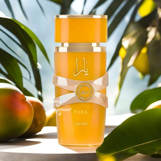 Yara Asad Yellow – Eau de Parfum (100ml)